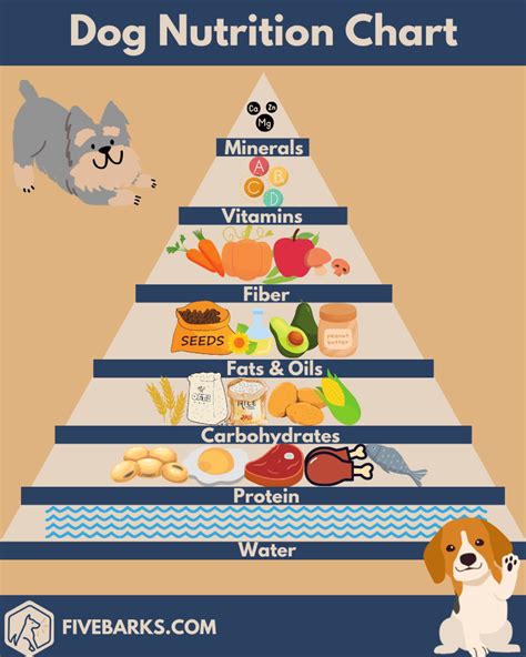 Dog Nutrition 101 - A Guide To Pet Food, Supplements & Treats, 2024