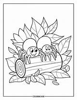 155  Disegni Di ragni Da Colorare Per Bambini E Adulti PDF Gratuiti sketch template