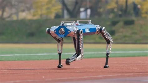 A quadruped robot with AI broke a world record