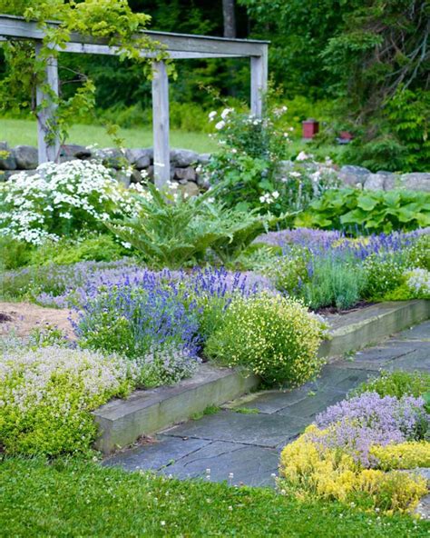 Garden Tour: New Hampshire Garden | Garden tours, Plants, Beautiful gardens