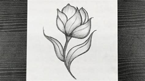 How To Draw A Flower Step By Step With Pencil For Beginners