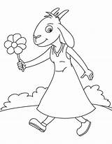 Pygmy Goats Coloring Page  Nation sketch template