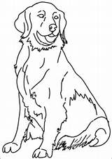 犬｜大人・高齢者・子供用無料塗り絵プリント  ぬり絵の力 sketch template