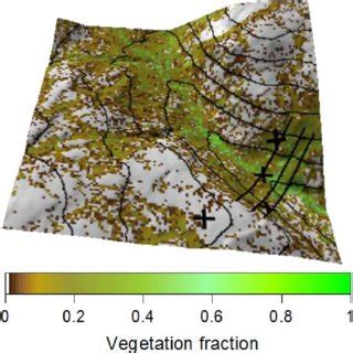 8 m resolution lidar-based digital elevation map of the 1 km × 1 km... | Download Scientific Diagram