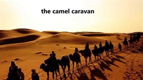 Camel safari...Sahara desert, Morocco - YouTube