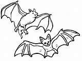 Realistic Bat Coloring Pages At GetColoringscom  Free Printable sketch template