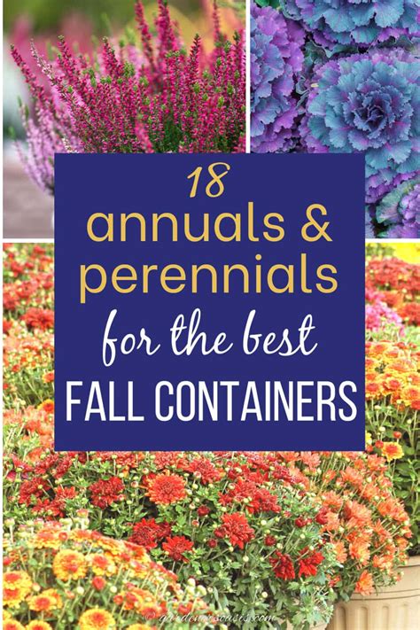 Fall Container Plants: 18 Eye-Catching Annuals & Perennials