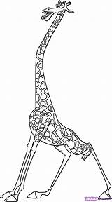 Melman Coloring Page  Nation sketch template