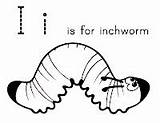 Inchworm Coloring Pages sketch template