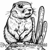 Prairie Dog Coloring Pages  Free & Printable sketch template