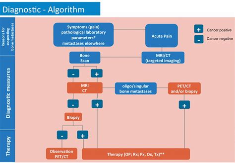 Management of Metastatic Bone Disease Algorithms for Diagnostics and Treatment | Anticancer Research