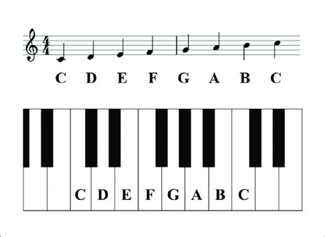 Keyboard Piano Notes