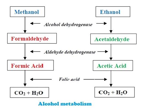 25 Uses of Alcohol | Important role in Medicine Industry and Daily life