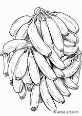 Bunch Of Banana Coloring Pages sketch template