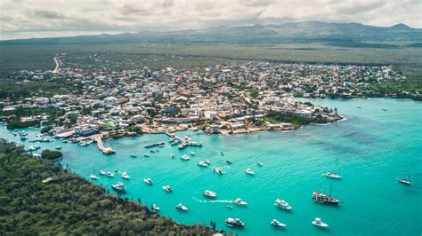 What to do on Santa Cruz Island, Galapagos | Drink Tea & Travel