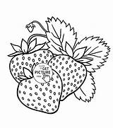 Printable Fruit Coloring Pages sketch template