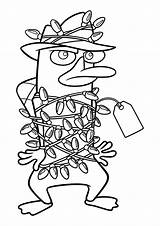 Perry Tangled In A Garland Coloring Page  Free Printable Pages sketch template