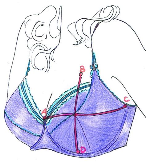 How to draft the bra cup master pattern in your own measurements – Artofit