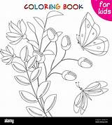 Butterflies Collection Butterfly and Moth Near A Flower Coloring Book  sketch template