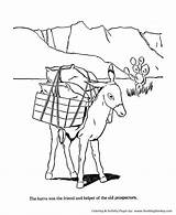 Honking Donkey Coloring Pages sketch template