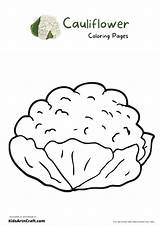 Cauliflower Coloring Pages For Kids – Free Printables  Art & Craft sketch template