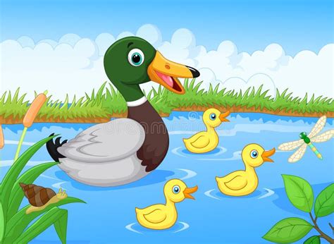 Cartoon family duck stock vector. Image of grass, fresh - 45855464