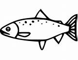 Chinook Salmon Coloring Page Sketch sketch template