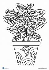 20 Free Printable plant coloring pages  ESL Vault sketch template