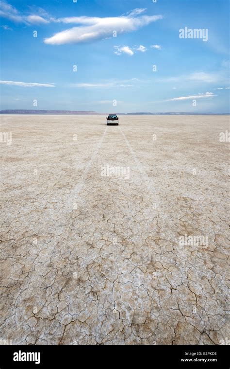 Car and tire tracks on the dry bed of Alvord Lake in Southeastern Oregon Stock Photo - Alamy