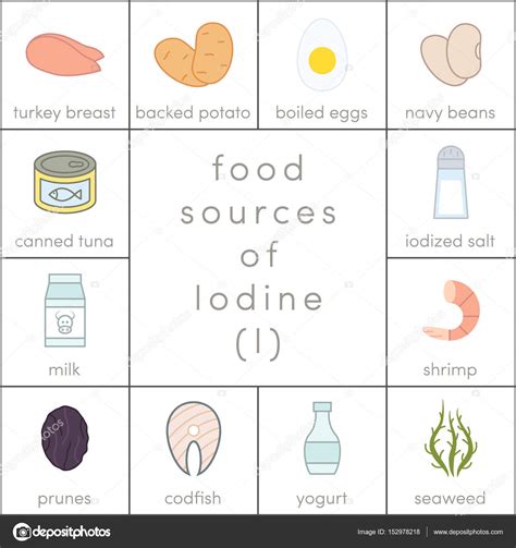 Food sources of iodine Stock Vector Image by ©marina_ua #152978218