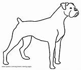 Coloring Pages Of Boxer Dogs sketch template