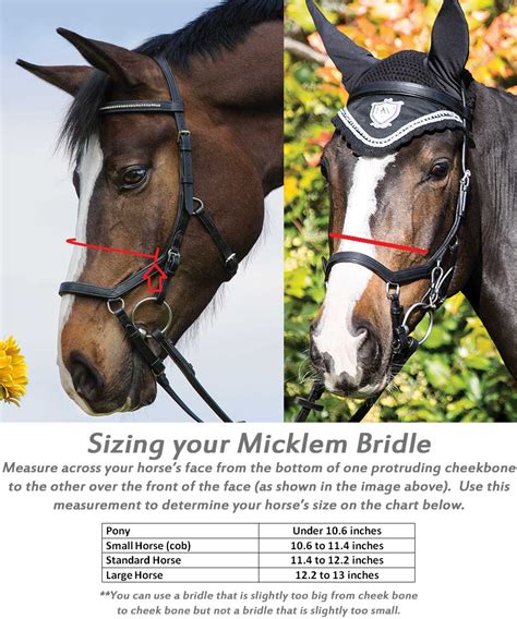 Micklem Bridle Fitting Guide