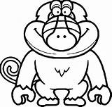 Baboon Coloring Pages At GetColoringscom  Free Printable Colorings sketch template