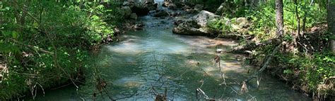 Rockhouse Trail, Arkansas - 33 Reviews, Map | AllTrails