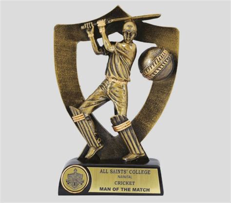 Golden Brass Man Of The Match Cricket Trophy at Rs 120/piece in New ...