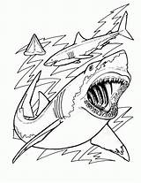 Free Printable Shark Coloring Pages For Kids sketch template