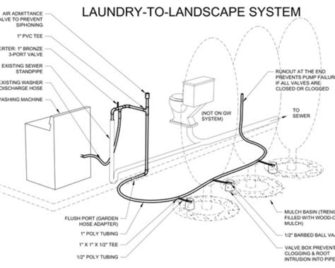 How to Set Up a Greywater System for Your Garden