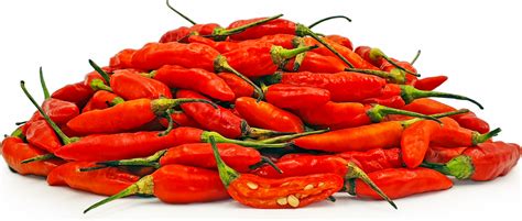 Cabe Rawit Merah Peppers Information and Facts