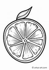 Lime Coloring Page » Free Download Artus Art sketch template