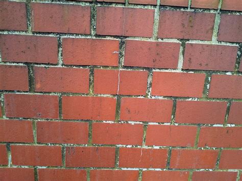 Red Brick Wall Free Stock Photo - Public Domain Pictures