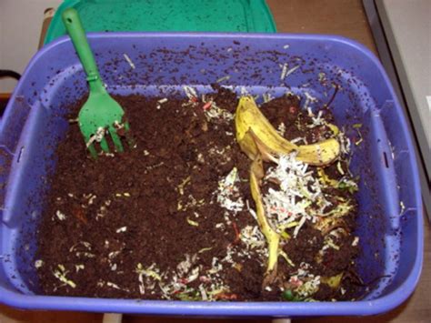 Worm composting or vermicomposting - Gardening in Michigan