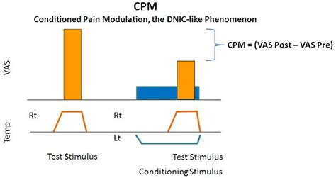 An Example of a Conditioned Pain Modulation (CPM) Test Protocol. | Download Scientific Diagram