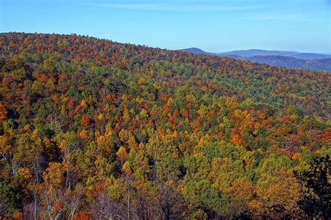 Fall color on Skyland Drive, Shenandoah National Park, Vir… | Flickr
