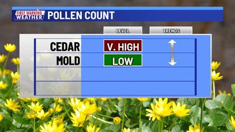 Cedar pollen in Texas reaches highest levels of the season