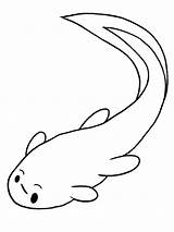 Tadpole coloring Pages sketch template