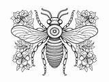 Beautiful Honey Bee Coloring Experience  Coloring Page sketch template