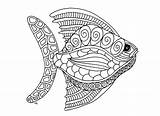 Big Fish Coloring Sheets sketch template