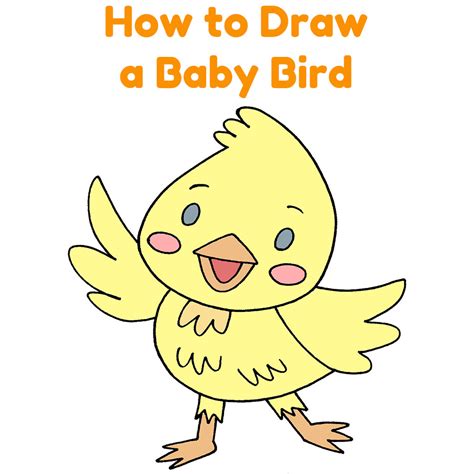 How to Draw a Baby Bird - Animaldrawingeasy.com