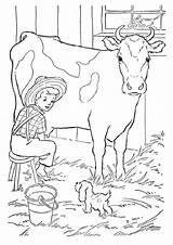 25 Free Cow Coloring Pages For Kids And Adults sketch template