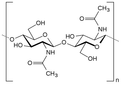 Polysaccharide | Definition, Types & Examples - Lesson | Study.com